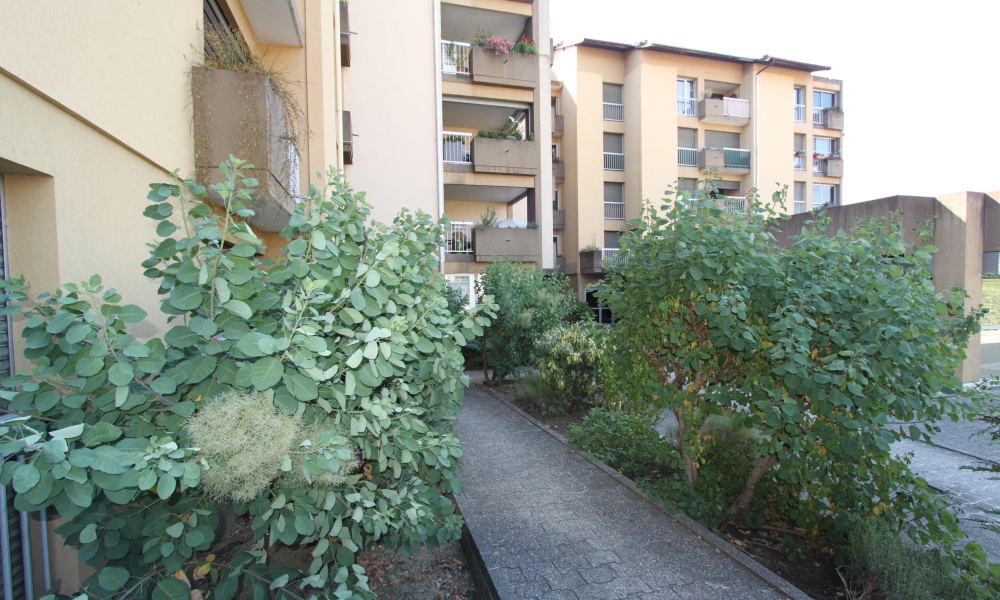 Vente appartement 2 pièces à ANNECY LE VIEUX - réf. 2148 GR - Photo 3