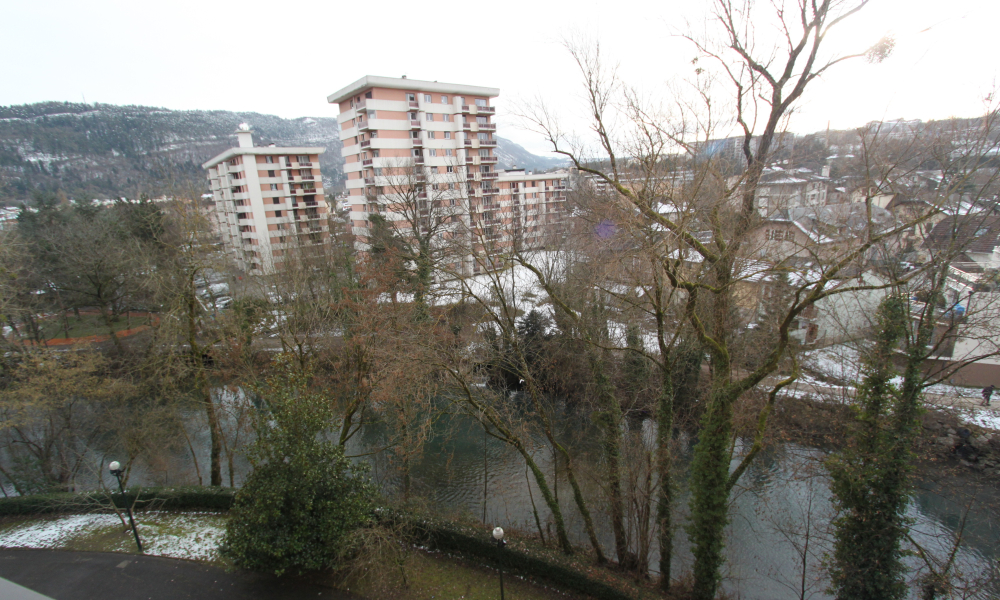 Vente appartement 3 pièces à ANNECY - réf. 2190 CE - Photo 3