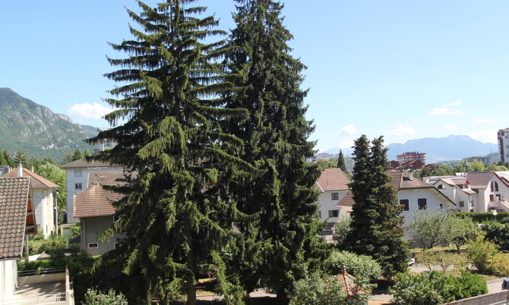 Vente appartement 3 pièces à ANNECY - réf. 3054 AP - Photo 2