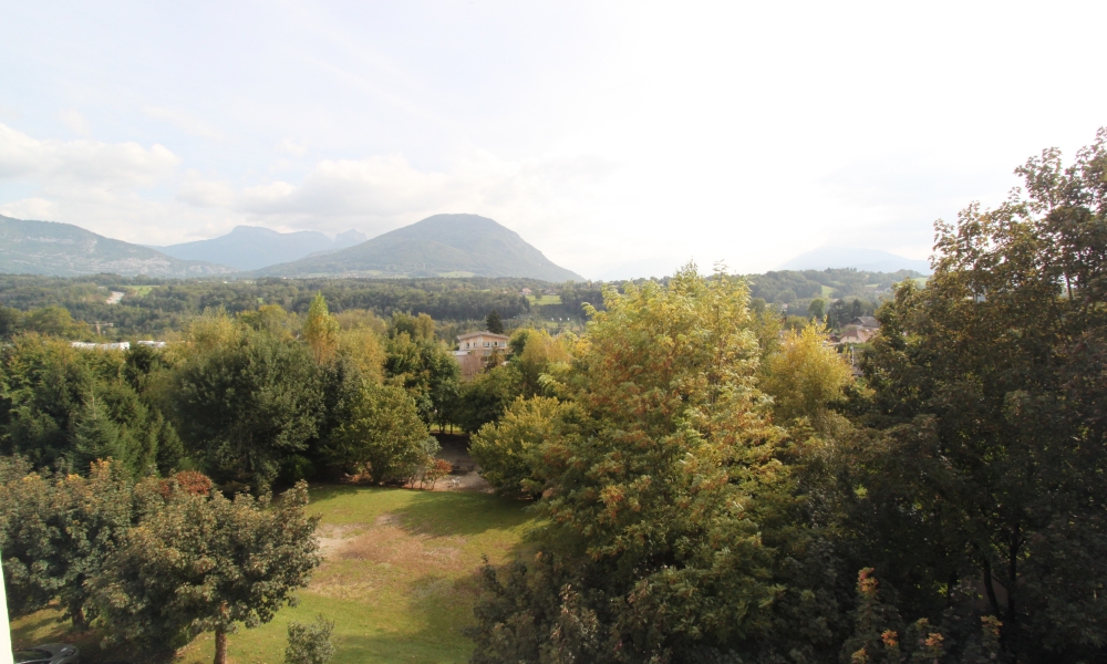Vente appartement 1 pièces à ARGONAY - réf. 2160 DU - Photo 2