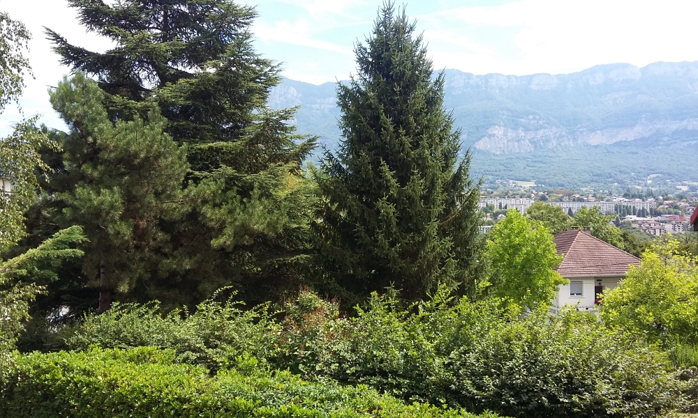 Vente appartement 3 pièces à TRESSERVE - réf. 3062 - Photo 2
