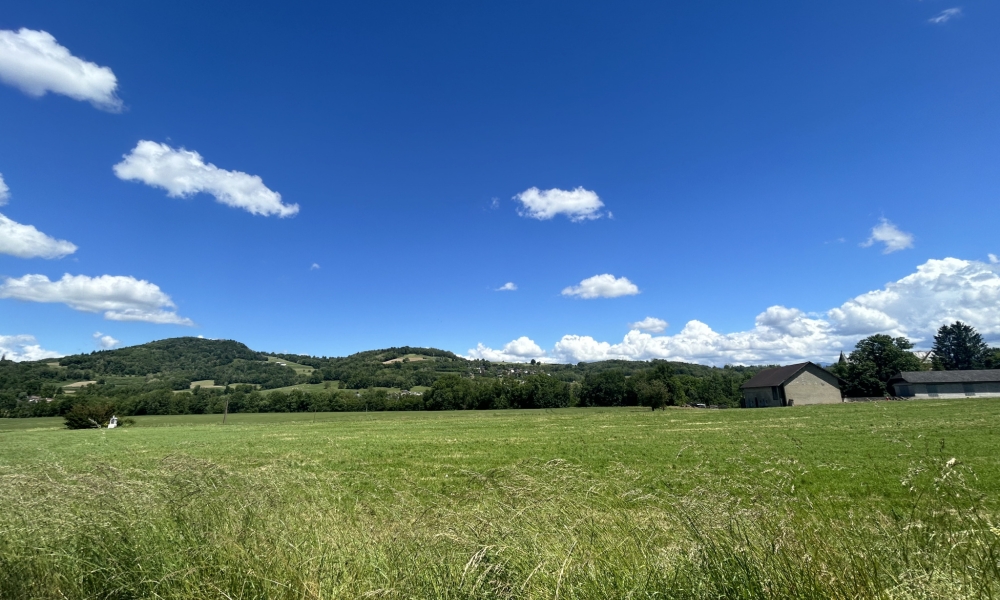 Vente terrain 0 m² à Lornay - réf. 3756 - Photo 2