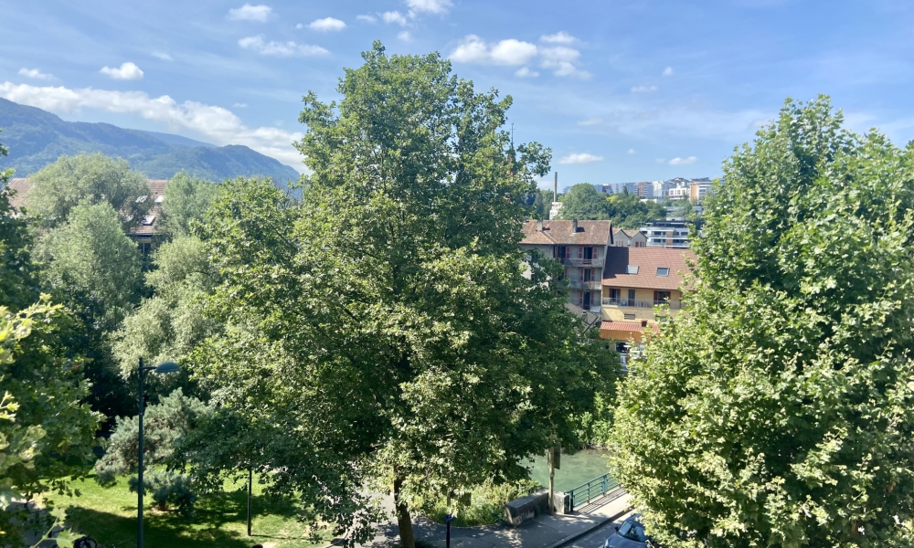 Vente appartement 3 pièces à Annecy - réf. 4484 DR - Photo 3