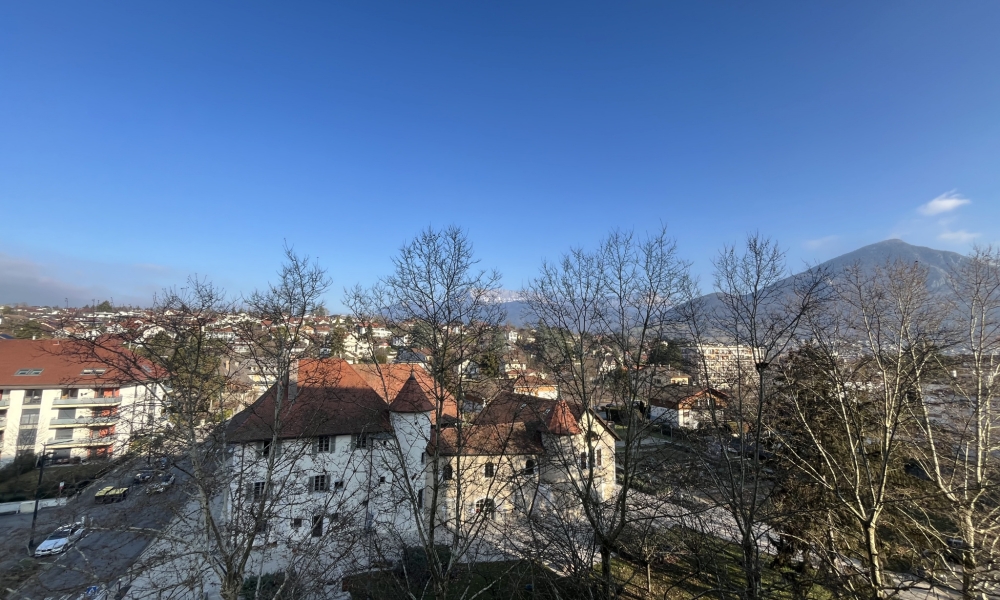 Vente appartement 3 pièces à Annecy - réf. 4537 TH - Photo 3