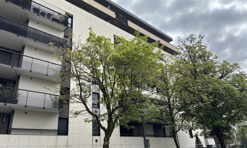 Vente appartement 1 pièce à Annecy - réf. 4641 BA - Photo 4