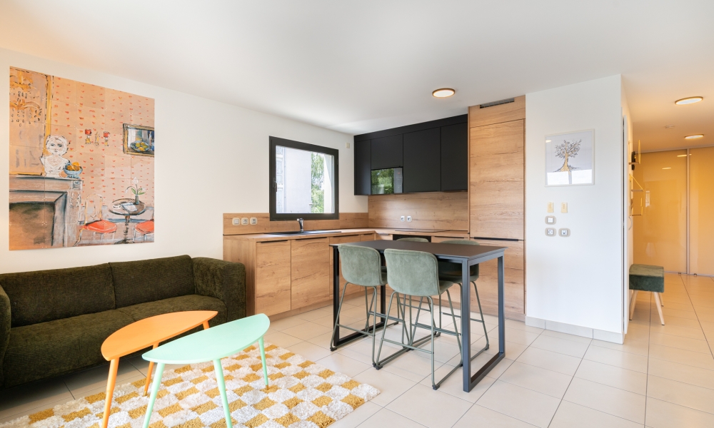 TYPE 2 MEUBLÉ - RESIDENCE L'ALEXANDRE - AV DE LA MAVERIA - ANNECY LE VIEUX - Photo 2