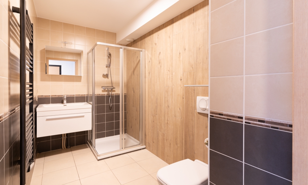 TYPE 2 MEUBLÉ - RESIDENCE L'ALEXANDRE - AV DE LA MAVERIA - ANNECY LE VIEUX - Photo 3