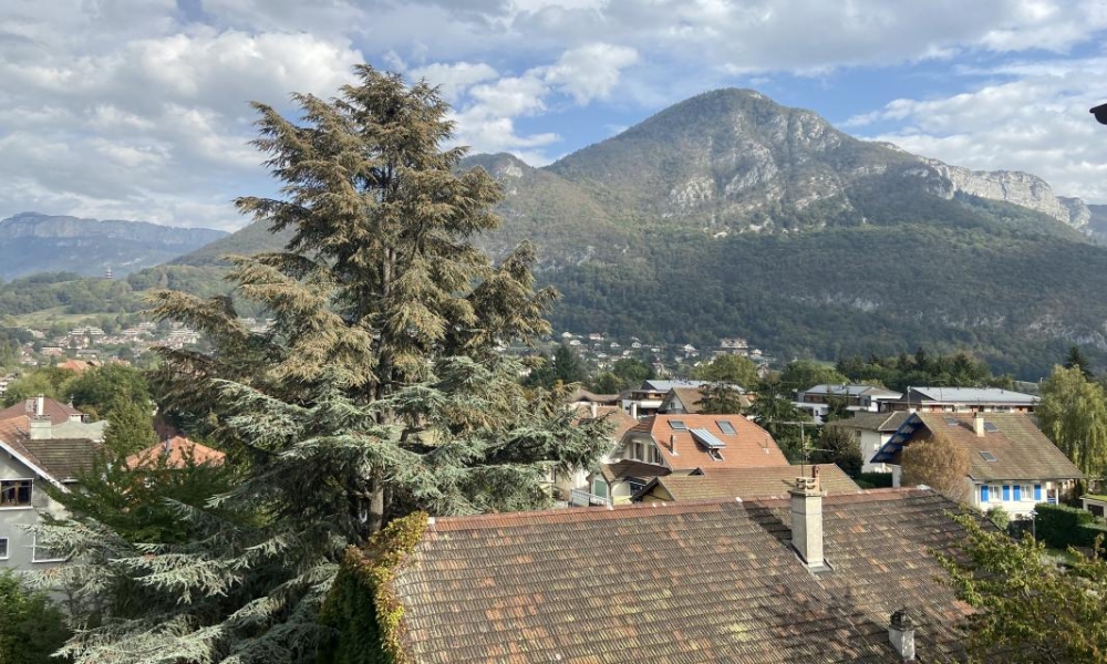 Location appartement Annecy Le Vieux 1 pièces 28 m2 - réf. 6046 - Photo 2