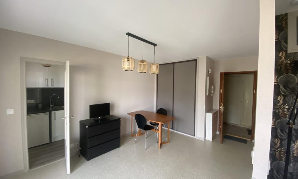 Location appartement Annecy Le Vieux 1 pièces 28 m2 - réf. 6046 - Photo 3
