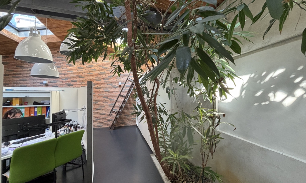 Vente immeuble à Annecy - réf. 4693 CO - Photo 8
