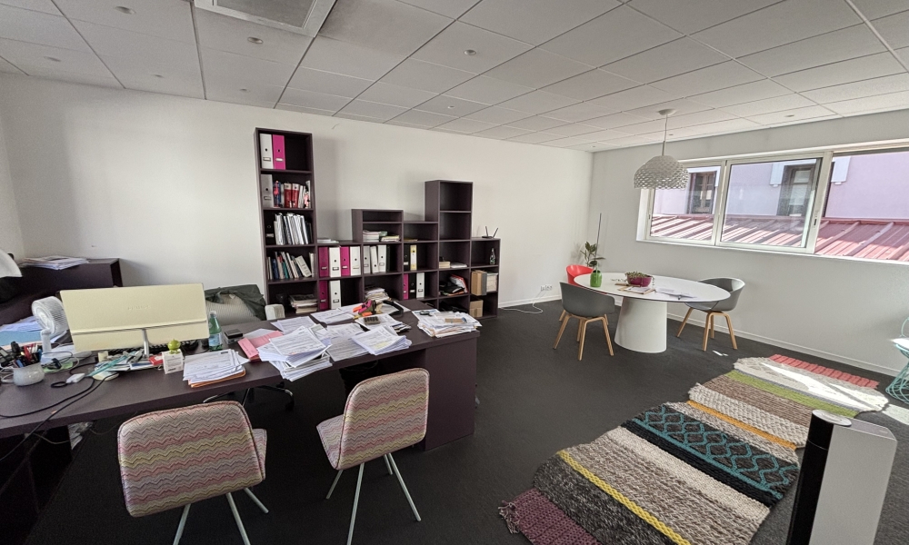 Vente immeuble à Annecy - réf. 4693 CO - Photo 6