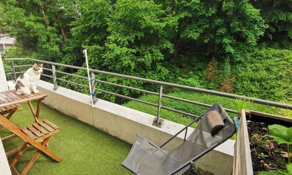 Location appartement Chambery 2 pièces 31 m2 - réf. 6258 - Photo 3 Location appartement Chambery 2 pièces 31 m2 - réf. 6258 - Photo 3