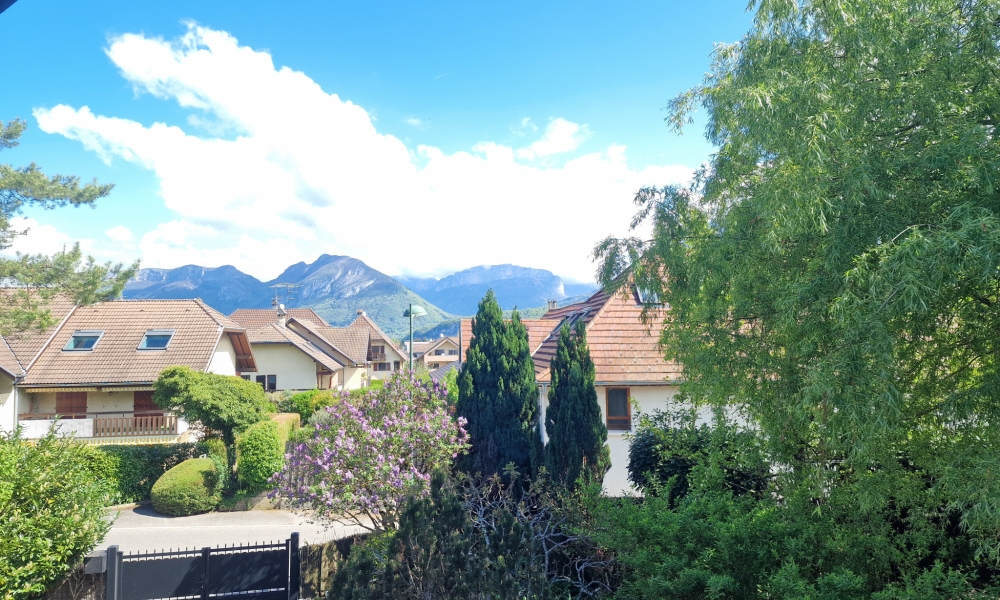 Vente maison 9 pièces à Saint-Jorioz - réf. 3804 - Photo 11