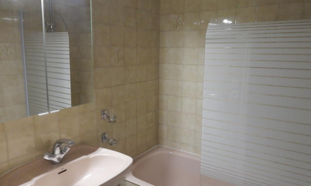 Location appartement Tresserve 1 pièces 27 m2 - réf. 6009 - Photo 5