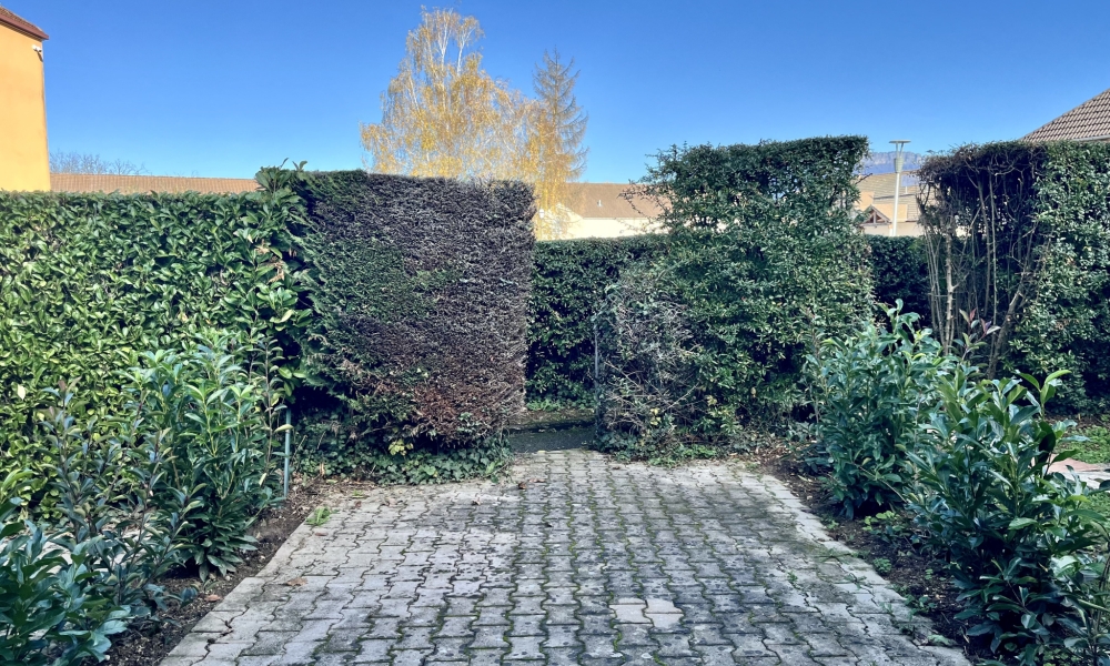 Vente studio 16.5 m² à Epagny Metz-Tessy - réf. 4753 LP - Photo 3