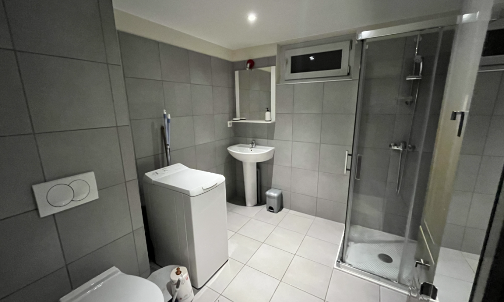 A LOUER TYPE 1 meublé situé sur la commune du BOURGET DU LAC (73370) - Résidence LE SAINT ANTOINE - 71 ROUTE DE LA PLAISSE - Photo 4