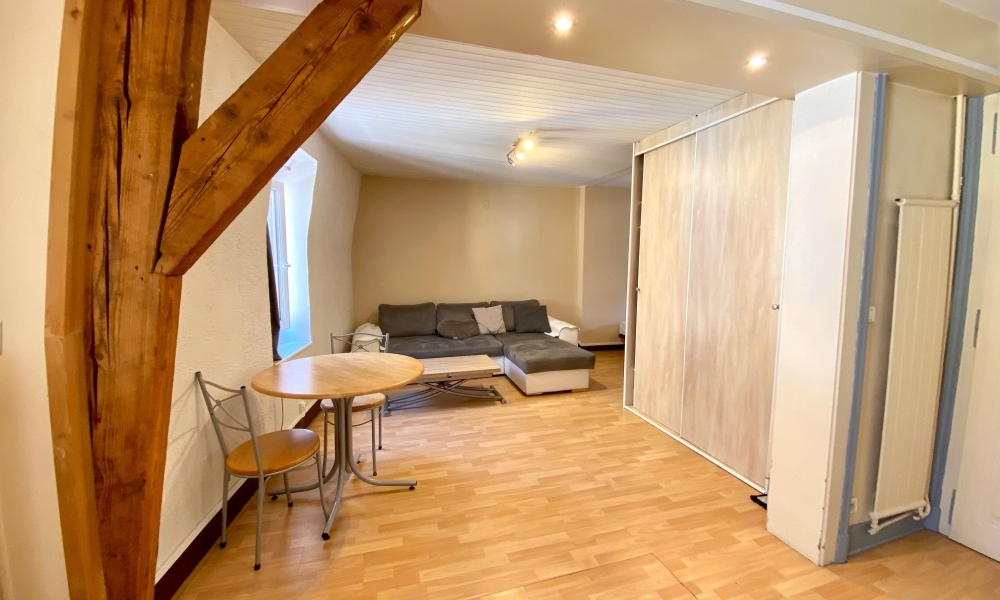 Vente appartement 1 pièce à Annecy - réf. 4747KA - Photo 8
