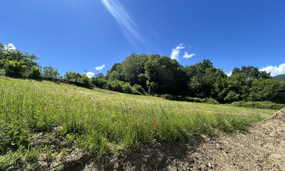 Vente terrain 748 m² à Lornay - réf. 3756 - Photo 1