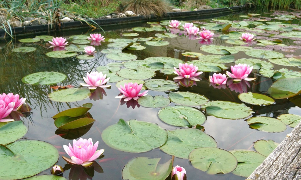 Vente maison 7 pièces à Aix-les-Bains - réf. 4847 - Photo 19