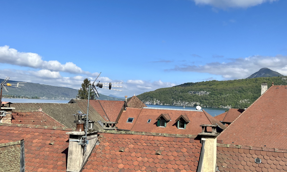 Vente maison de village à Duingt - réf. 4851 BI - Photo 10