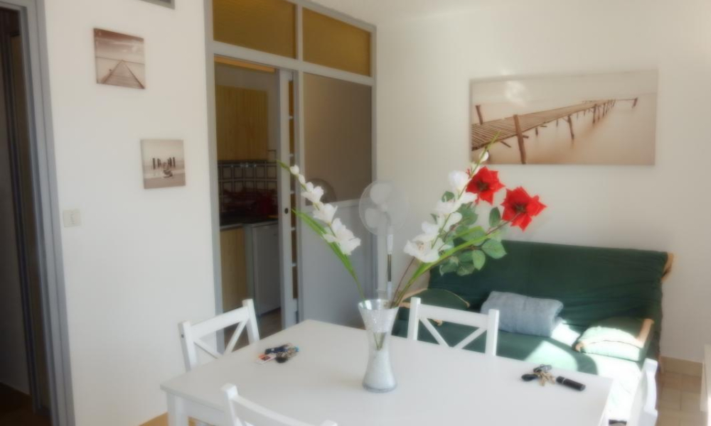 Location appartement Aix Les Bains 1 pièces 26 m2 - réf. 7620 - Photo 6