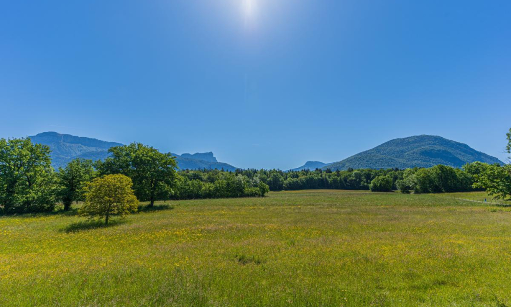 Location maison Annecy Le Vieux 6 pièces 205 m2 - réf. 7462 - Photo 16