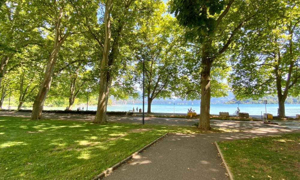 Location appartement Annecy 3 pièces 67 m2 - réf. 7783 - Photo 5