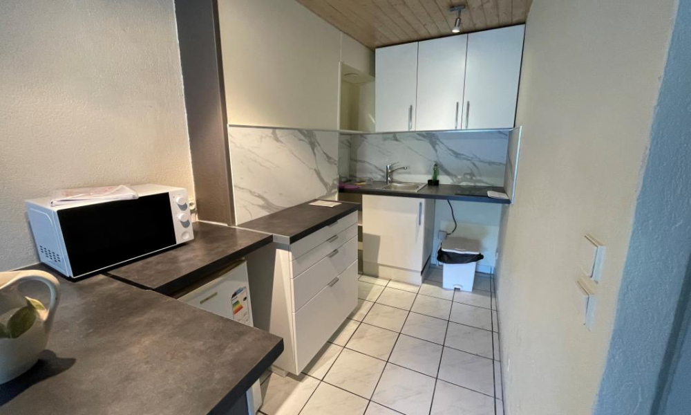 Location appartement Rumilly 1 pièces 33 m2 - réf. 7420 - Photo 3