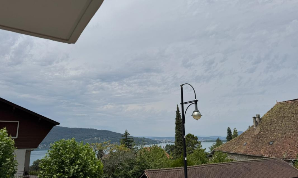 Location appartement Veyrier Du Lac 1 pièces 24 m2 - réf. 7543 - Photo 3