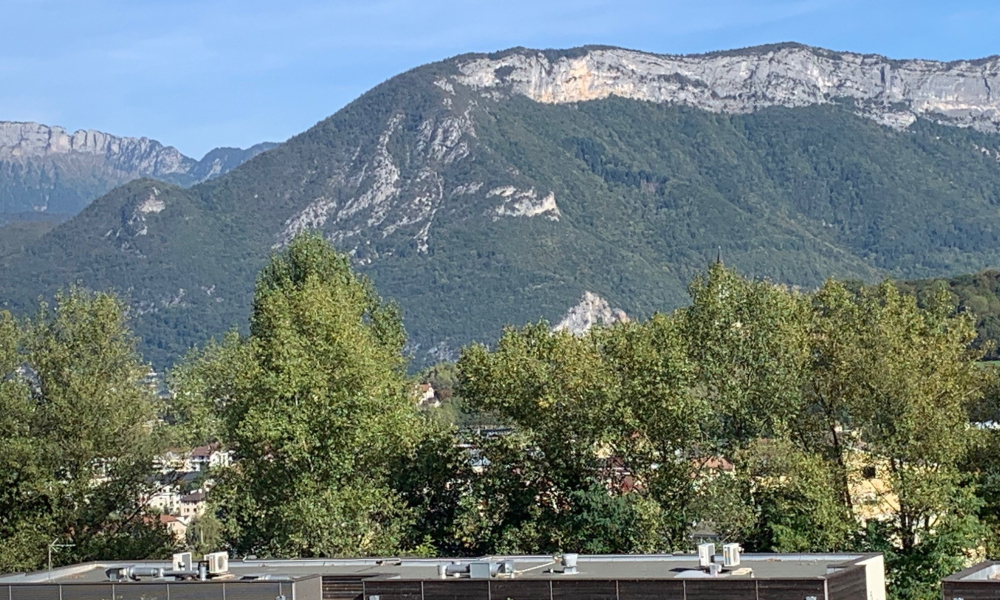 Vente appartement 1 pièce à Annecy - réf. 4927 BRO - Photo 4