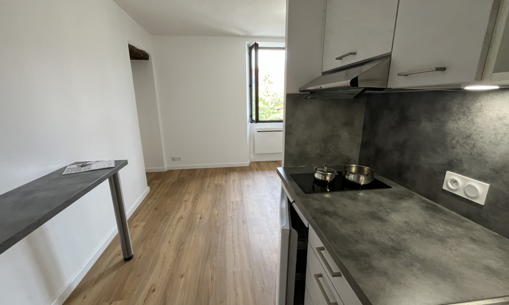 Vente appartement 1 pièce à Annecy - réf. 4999 MIR - Photo 10